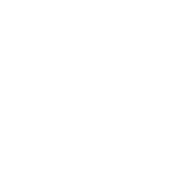 liberal plus